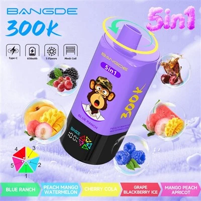 BANG DE -5in1 300Velkoobchodní prodej jednorázových vaporizérů K Puffs
